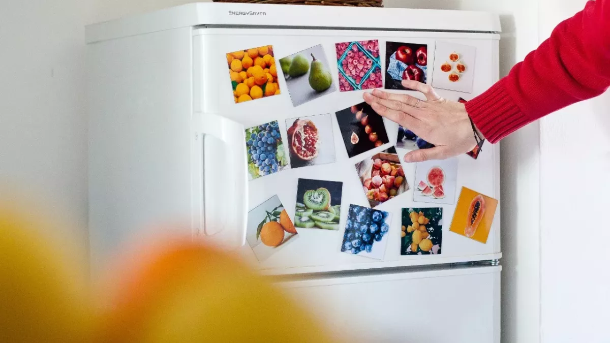 This is why you should never put magnets on your fridge door