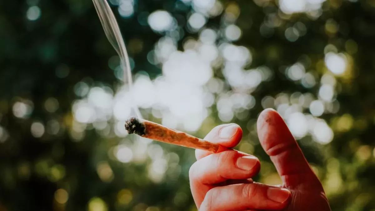 Amazon stops drug use check for new employees