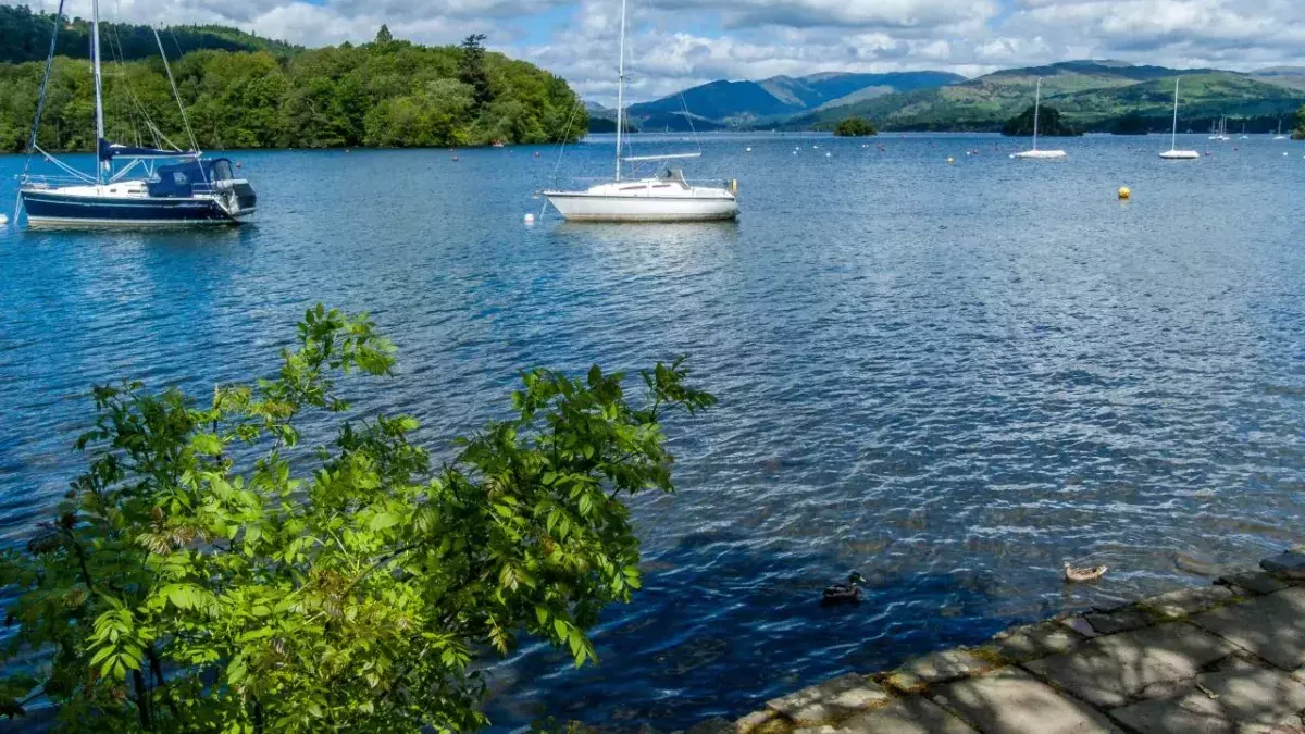 Avoid beating the summer heat in these lakes, they're toxic