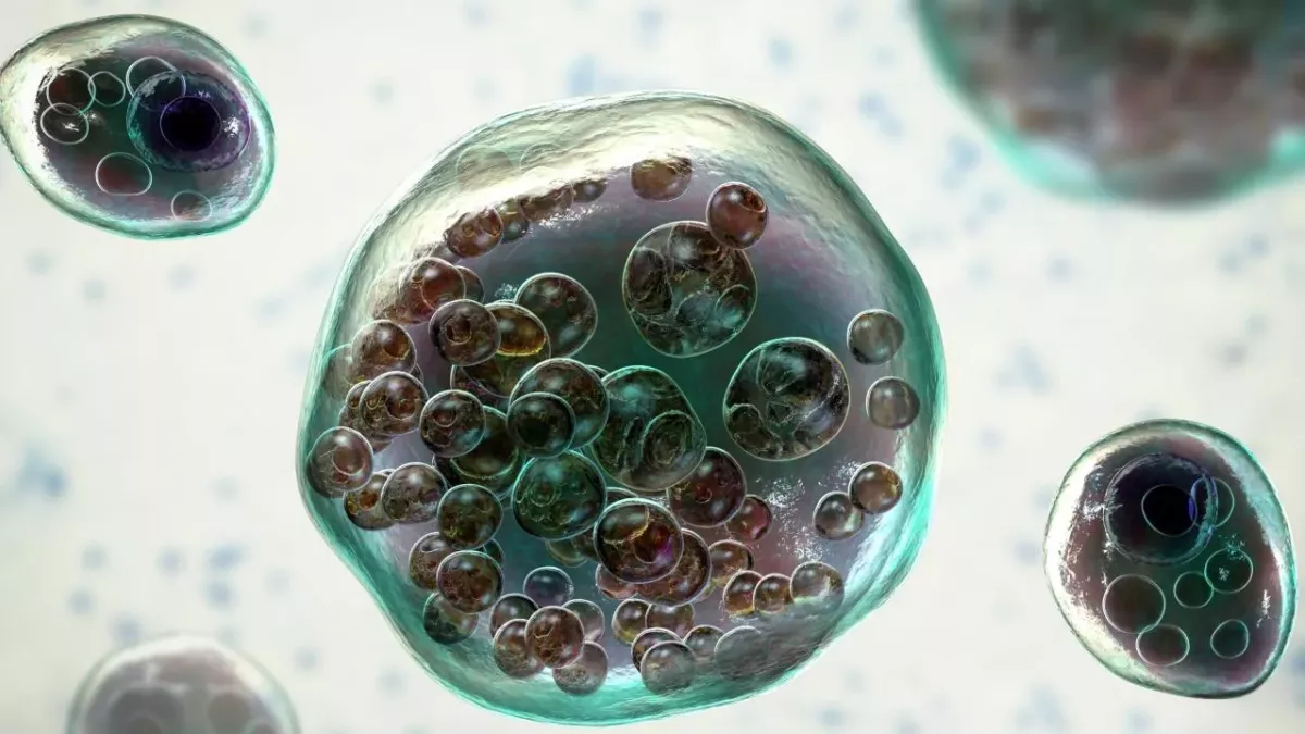 Biblical disease making a terrifying comeback in UK as cases soar