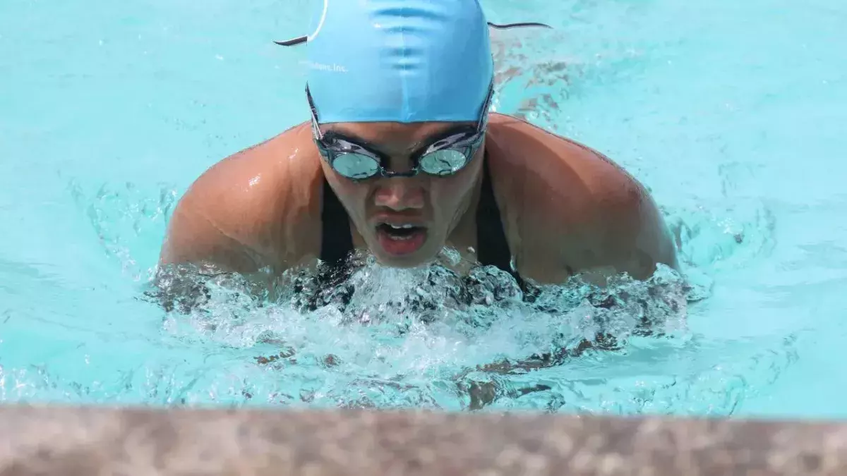The chemical in swimming pools makes natural black hair dry out more, leading to hair damage.