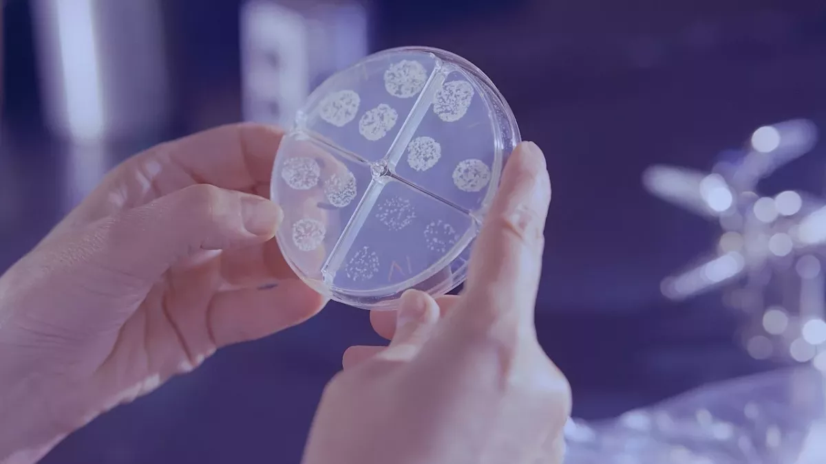 COVID: This disease from the past could be making a comeback amid the pandemic