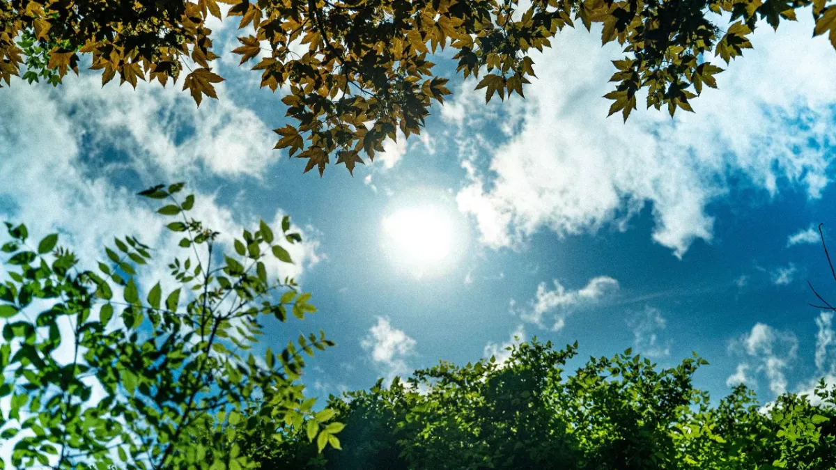 Daylight saving time made permanent and what it means to us