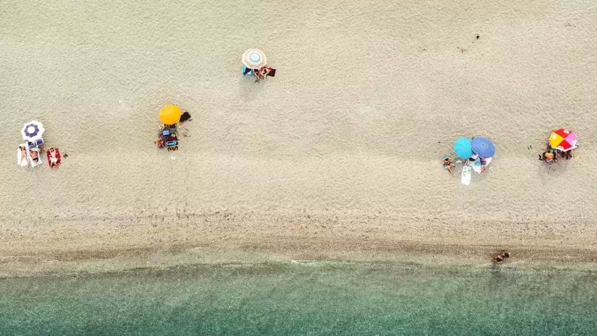 Delta Variant in Wales