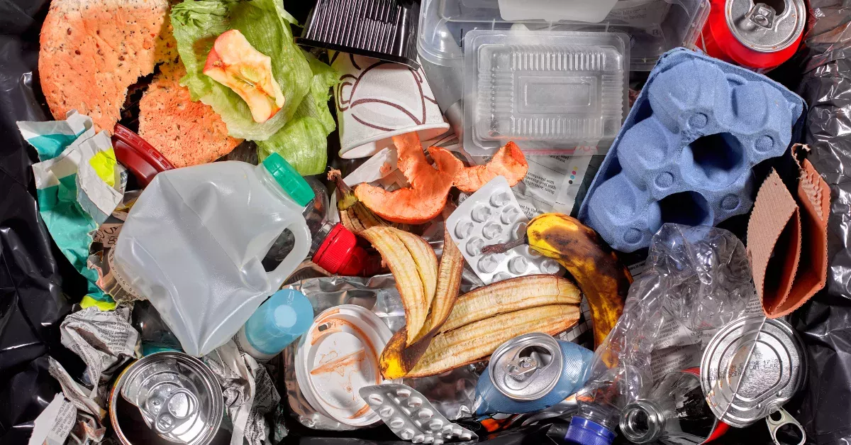 Here Is How To Get Rid Of Bad Smells From Your Rubbish Bin