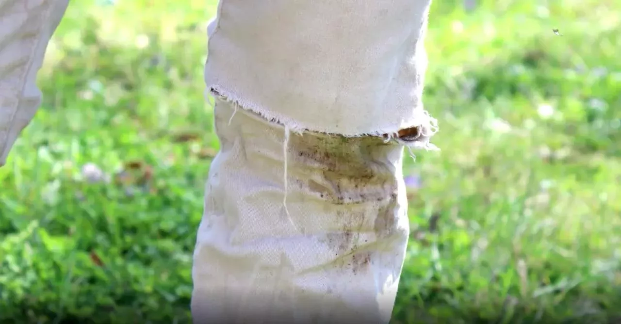 Here’s how to remove grass stains from clothing