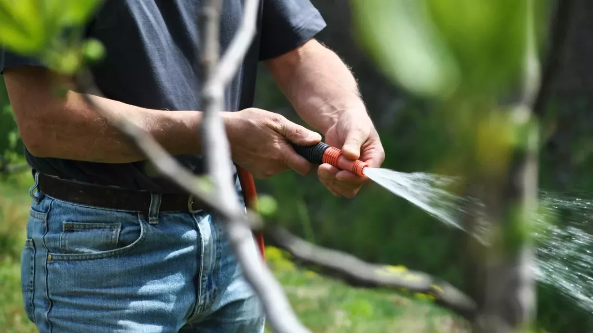 Hosepipe ban: Are you going to be affected?