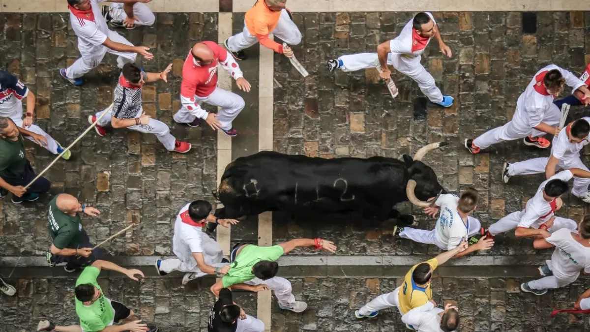 Killed by charging bulls: three men tossed, pierced, and trampled over by enraged animals