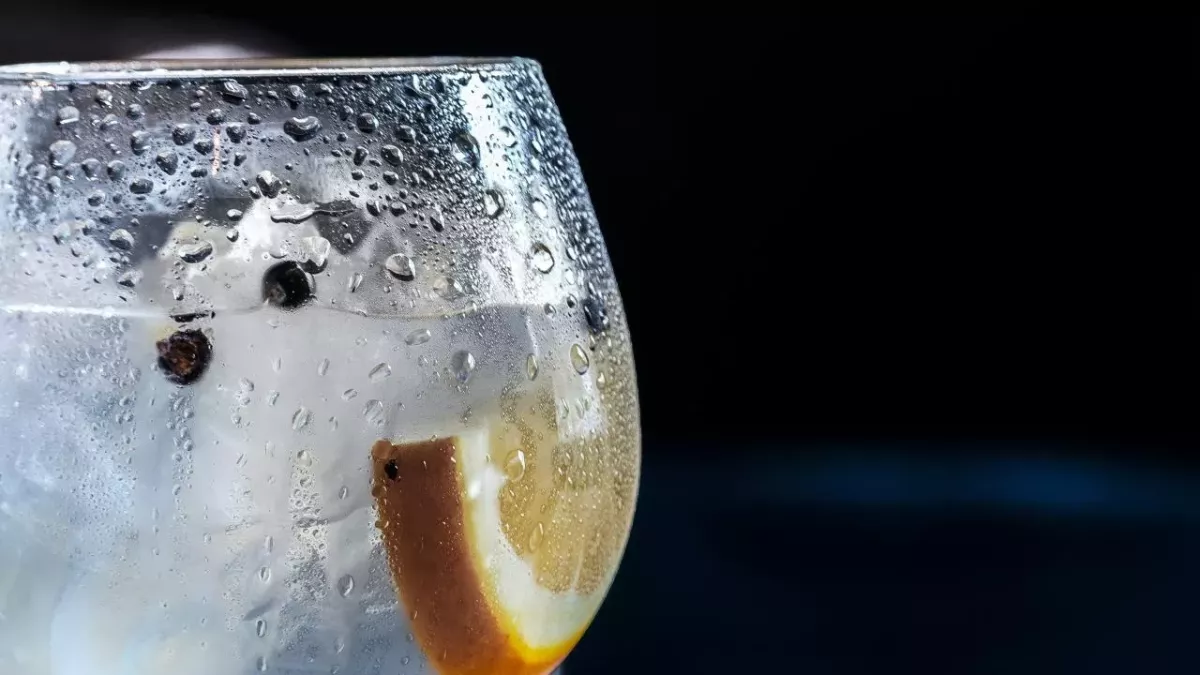 Lidl banned from selling Hampstead Gin for being too similar to Hendrick's 