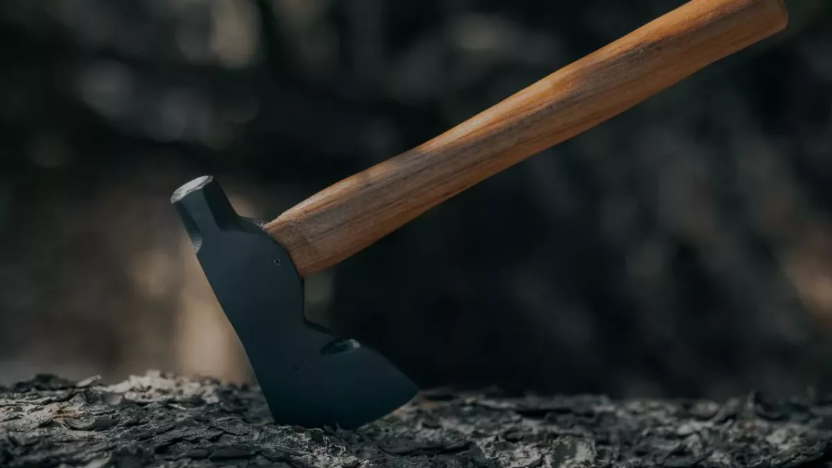 Man marries roommate who attacked him with an axe, so she can avoid jail time