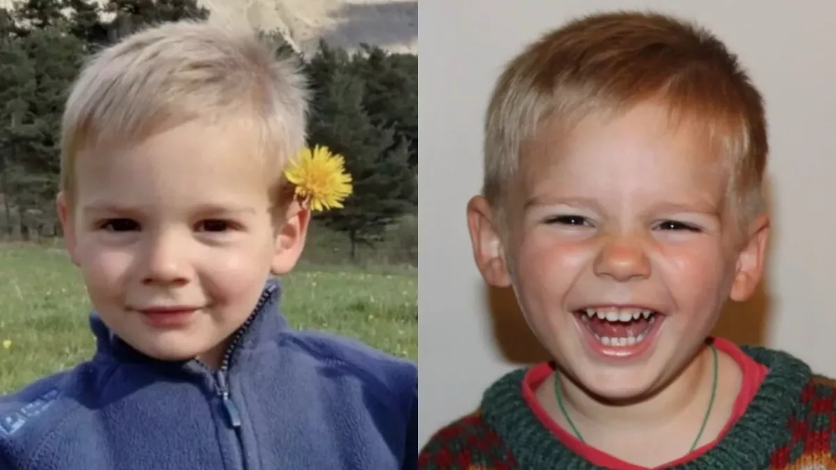 missing French toddler Émile death tractor accident theory