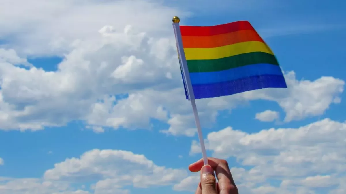 New study links homophobia with low intelligence 