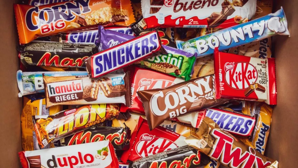 Palm tree extinction: You might have to say goodbye to your favorite chocolates and ice creams