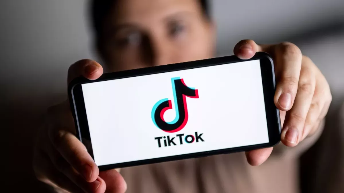 Parliamentarian recommends Brits to delete TikTok "without question"