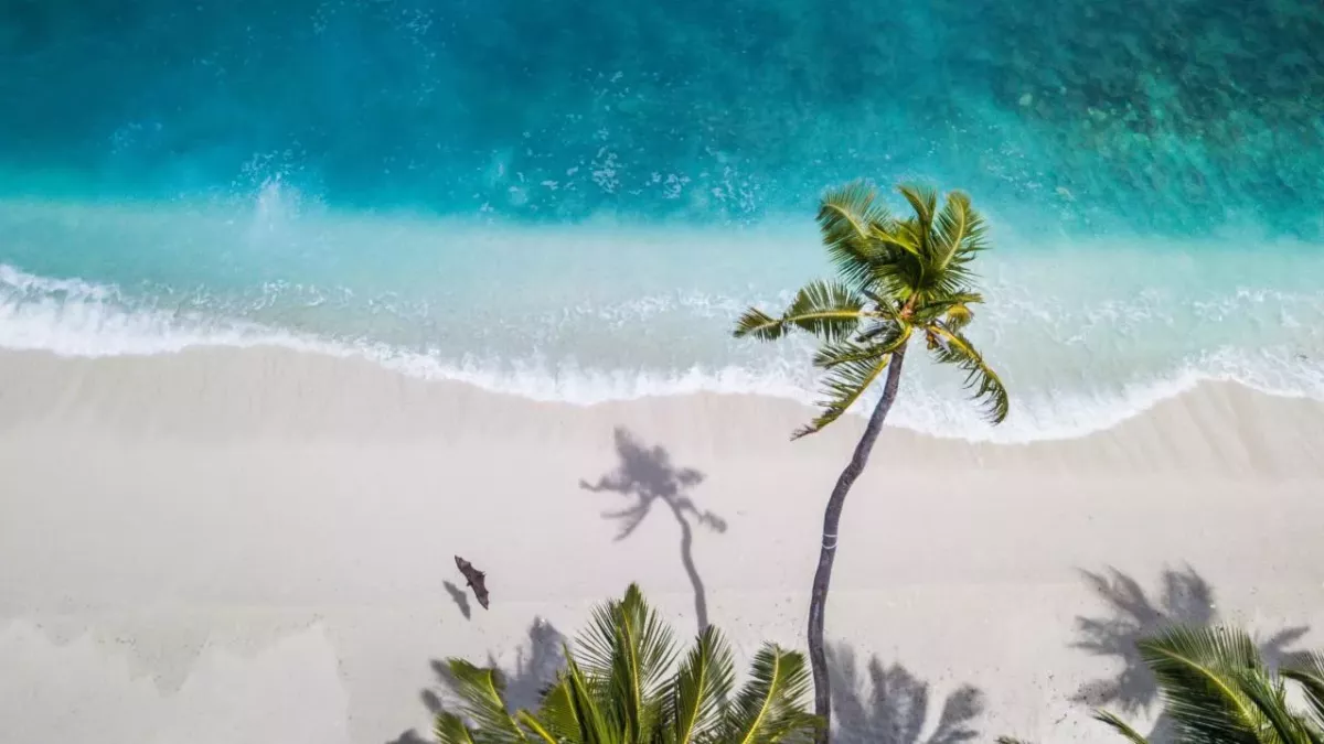 PM sparks hope for those wanting to travel this summer 