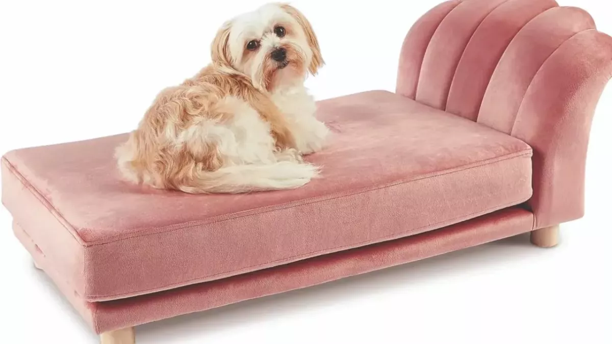 Shoppers have gone wild for Aldi's Bridgerton-style pet beds 