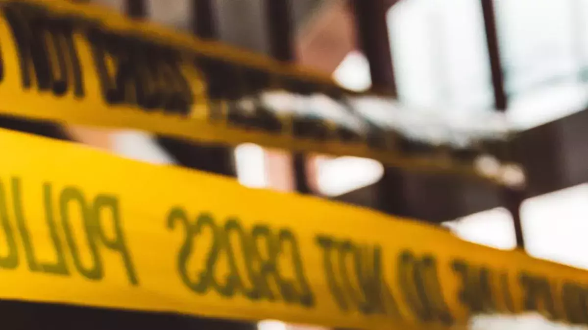 Teenager raped by two men while walking her dog