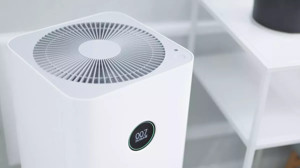 These scientific tips will help you survive the summer without air conditioning