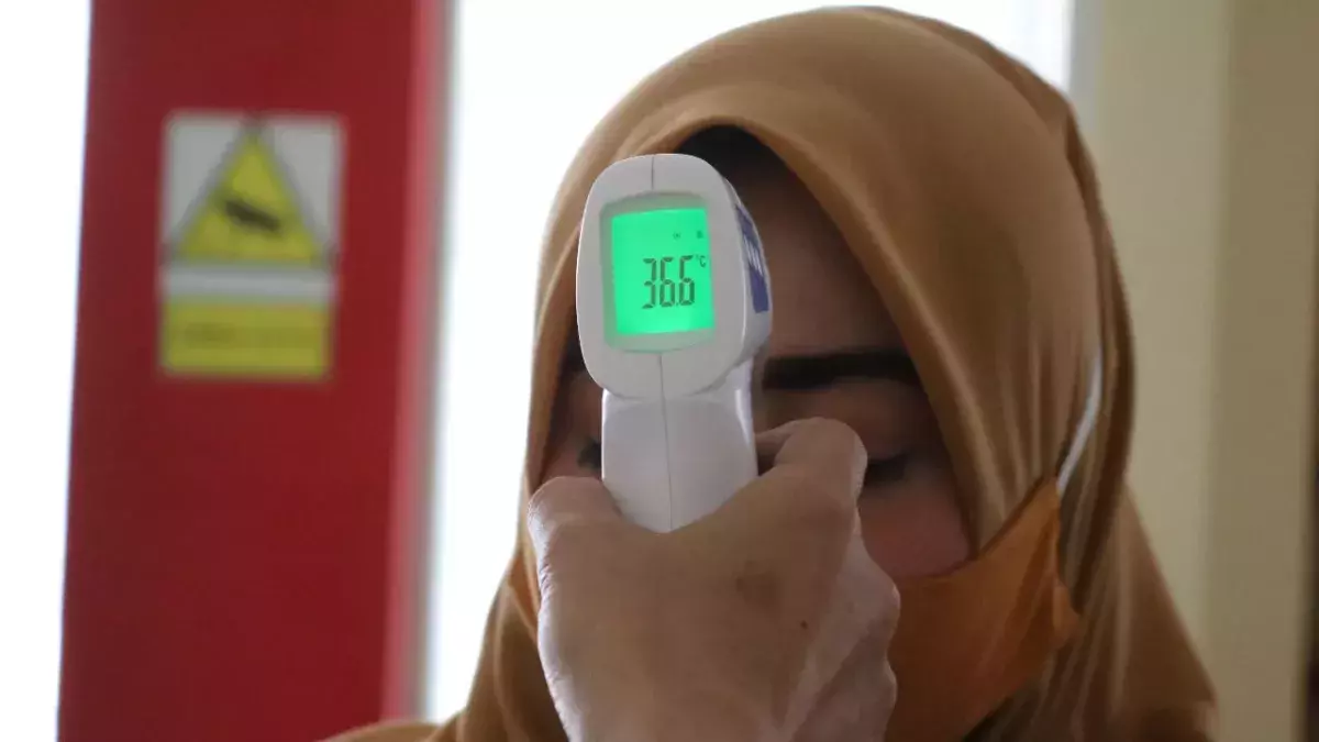 UK: First person dies from Lassa fever, the Ebola like disease