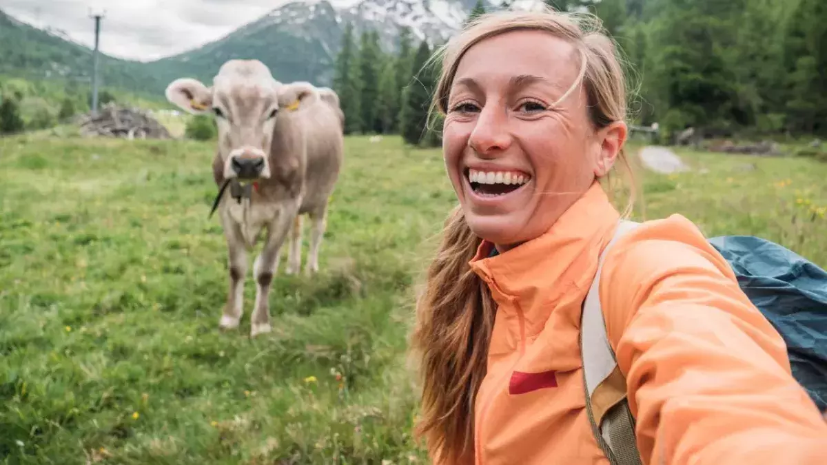 Woman and cow in the Swiss Alps