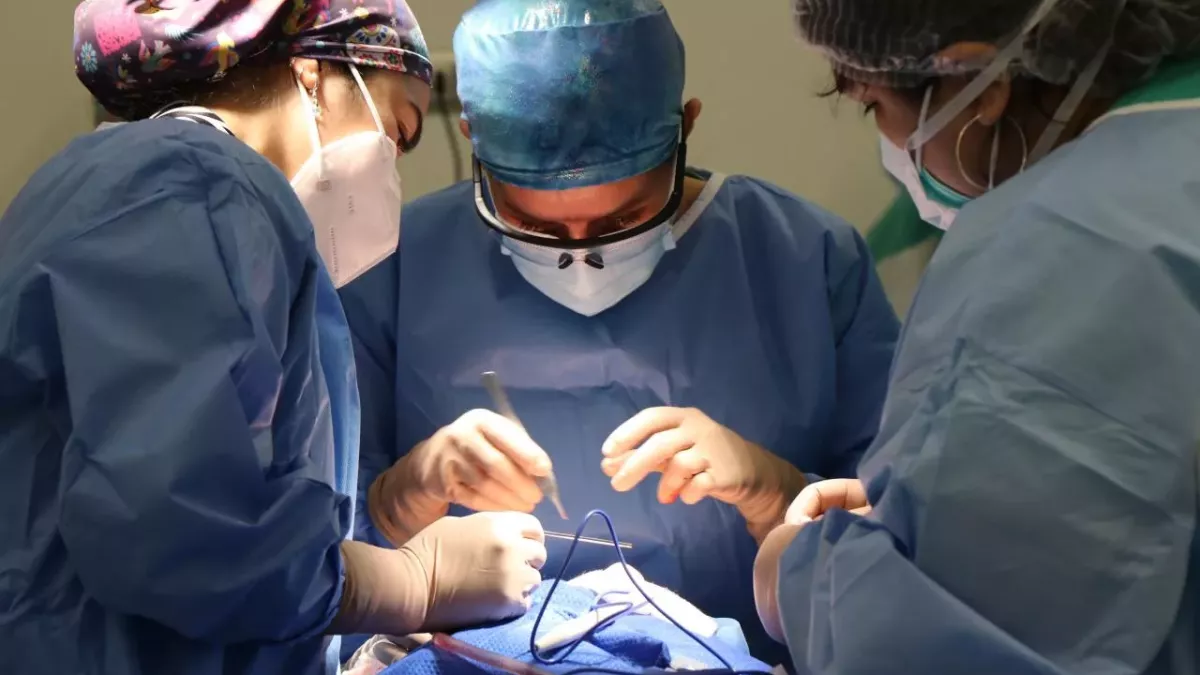 Doctors couldn't believe their eyes when they operate on a smoker's lungs