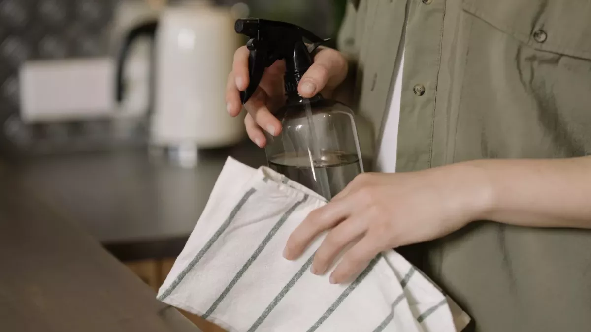 Get rid of silverfish in your home with these simple tricks 