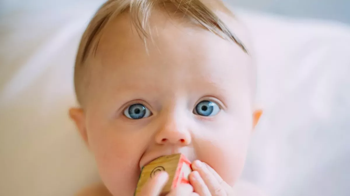 baby's head contained the foetus of its identical twin