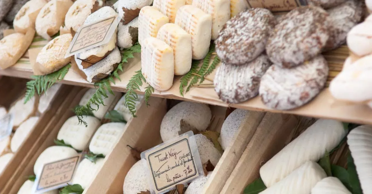 Cheese... simply the best food.