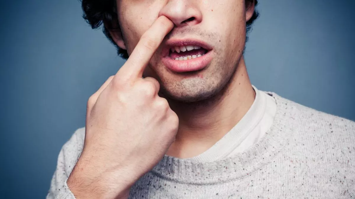 Can your nose-picking habit increase risk of devastating brain disease ...
