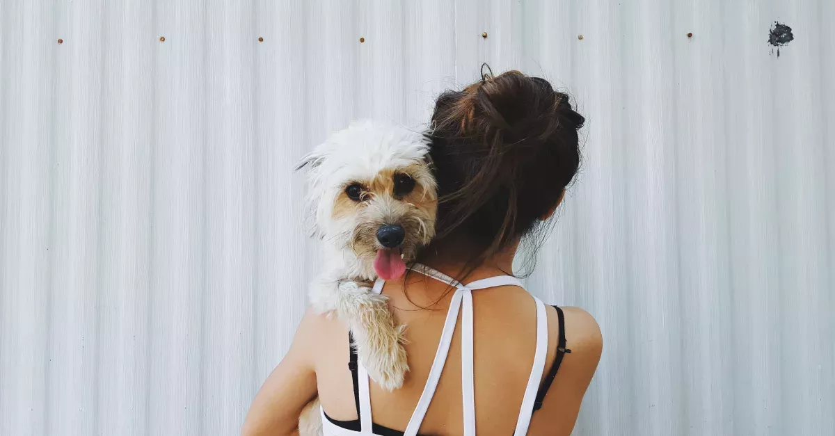 Dogs May Be Able To Sniff Out Breast Cancer