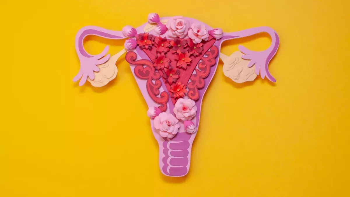 Everything You Need To Know About Ovulation