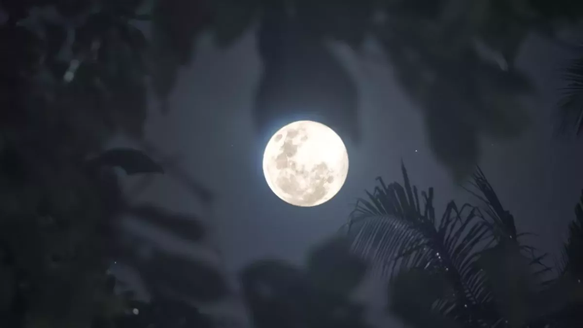 full moon affects sleep