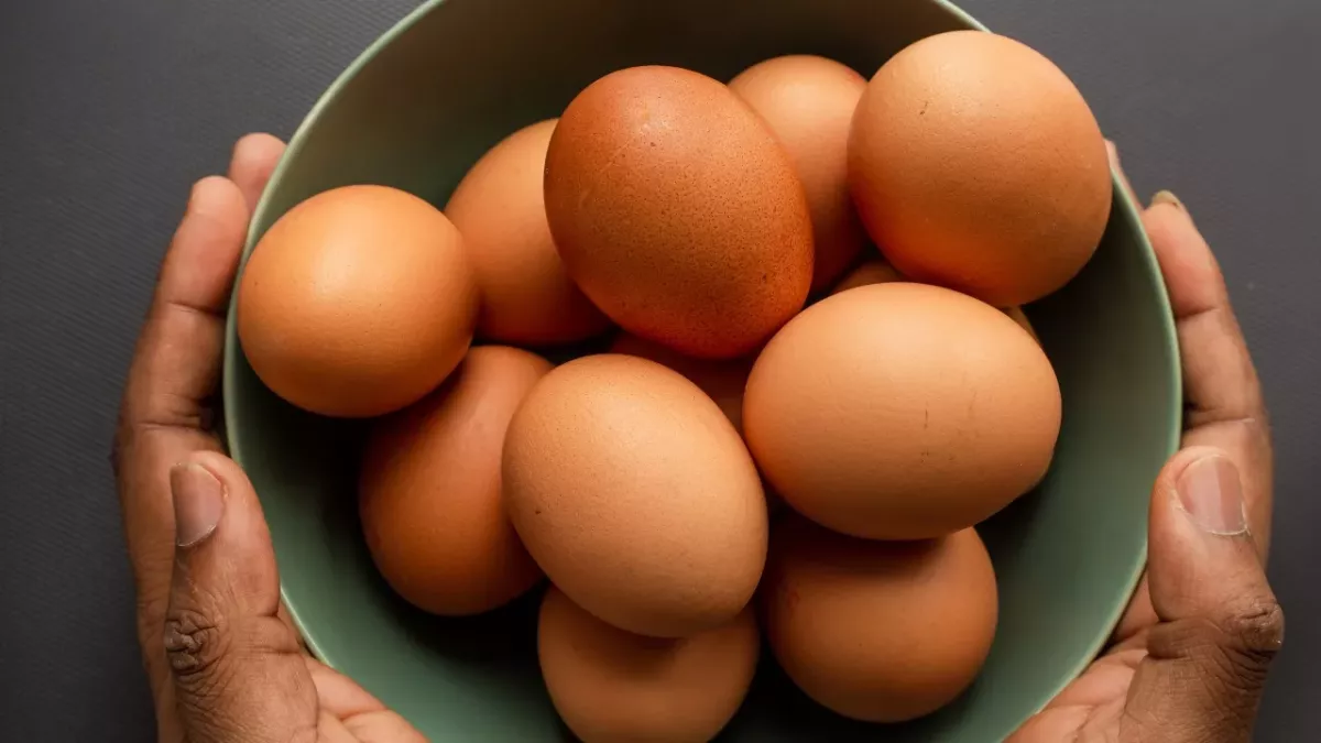 Health: 4 benefits of adding egg to your diet