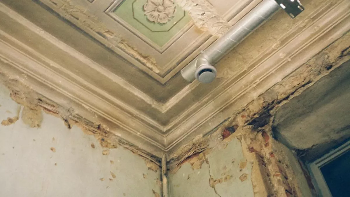 hidden mould in mattress  signs to look out for