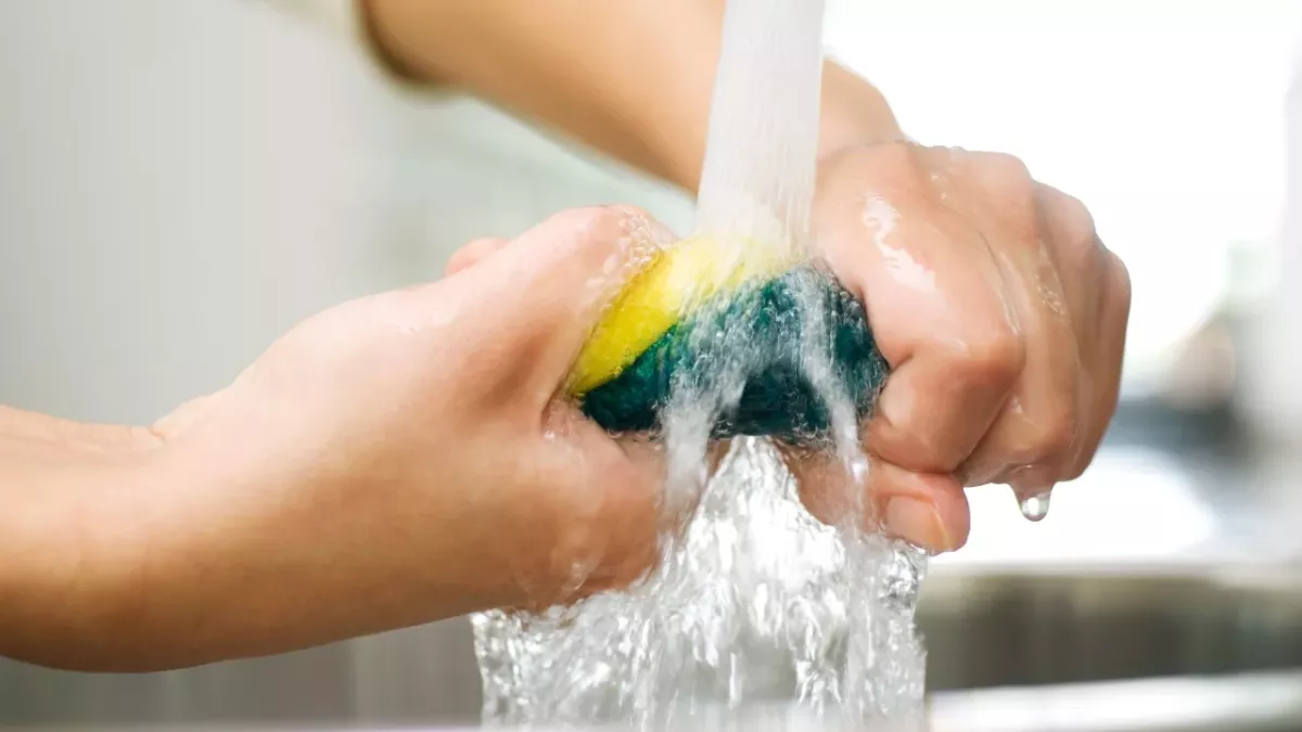 This is how often you should watch your kitchen sponge to avoid health risks 