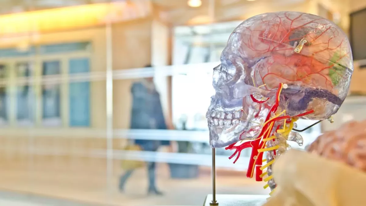 new brain implant treating cognitive impairments from traumatic brain injuries.