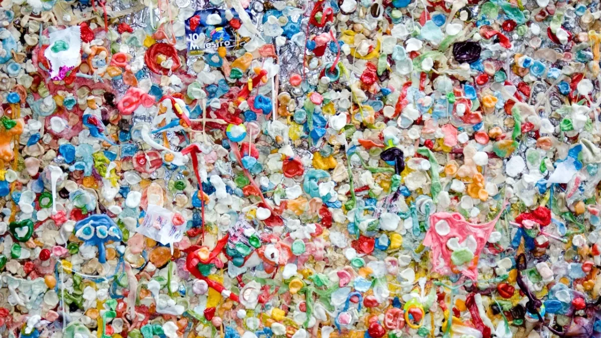 scientists plastic discovery insects environment