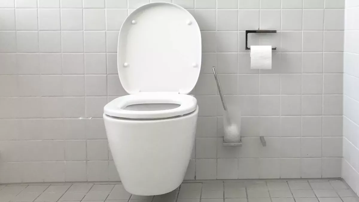 squatting position toilet