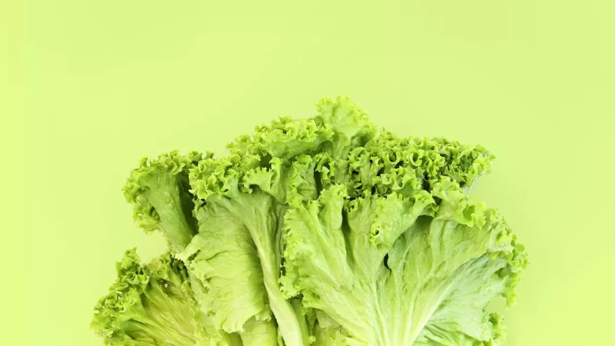 Struggling To Sleep? This TikTok Lettuce Hack Can Cure Insomnia
