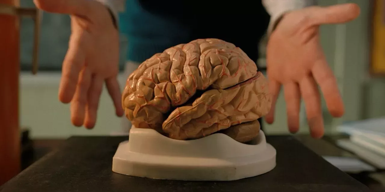 study reveals phenomenon brain happens before death surprising health