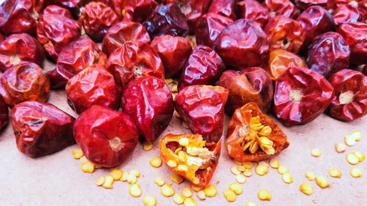 Woman hospitalised with brain swelling after sniffing dangerously spicy peppers 