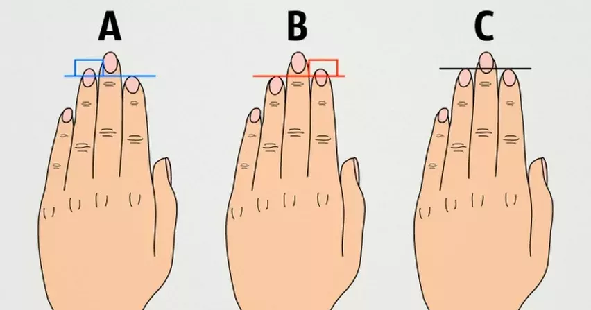 fingers