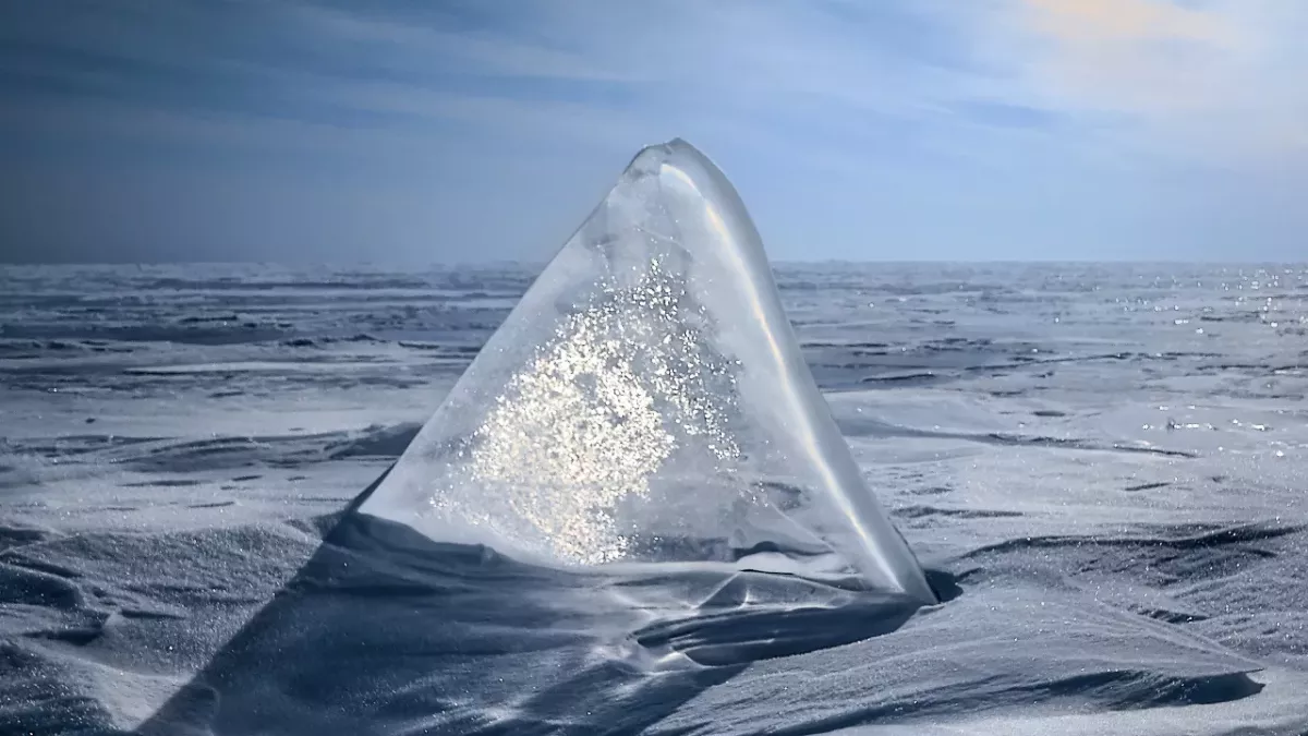 Optical illusion: donkey, mermaid, seal, what does what you see say about you?