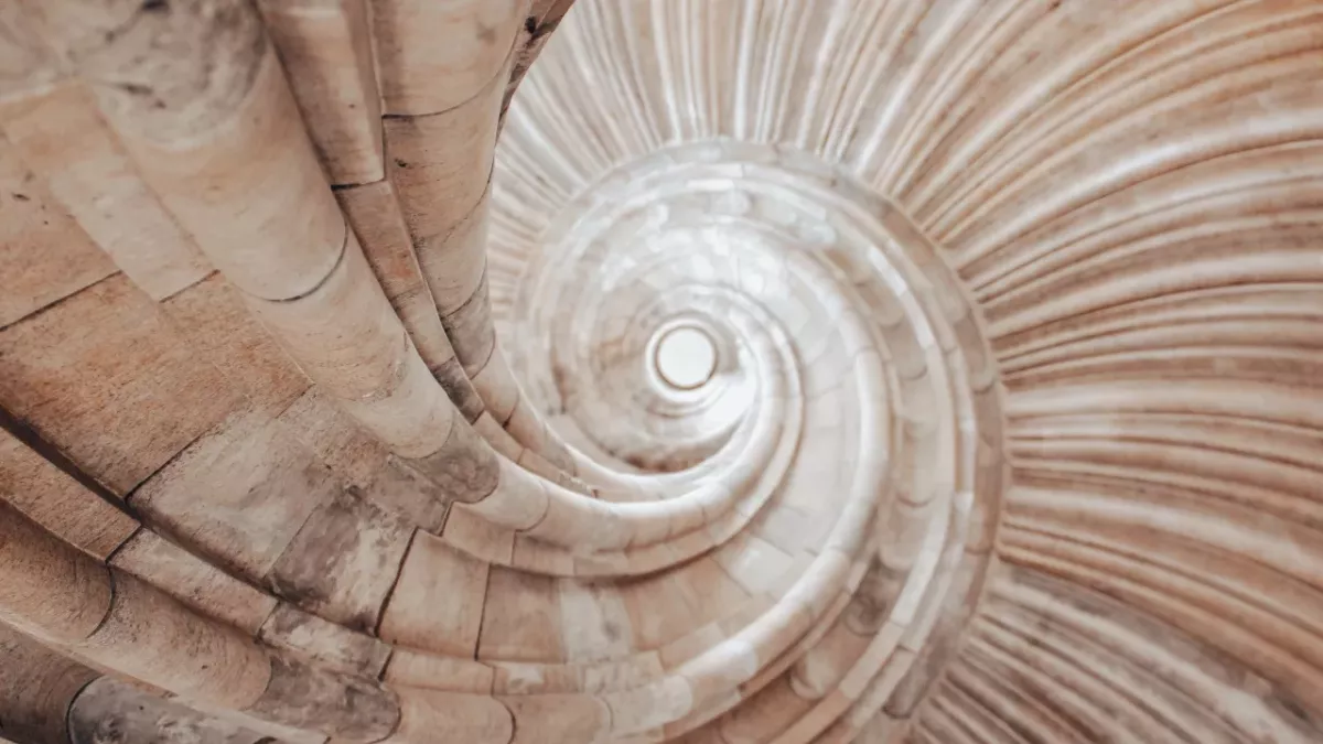 Optical Illusion: People see different things depending on the time of year