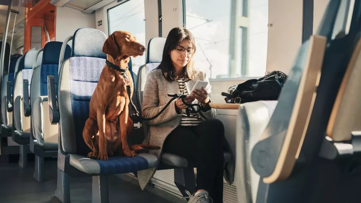 This is what the breed of your dog says about your personality