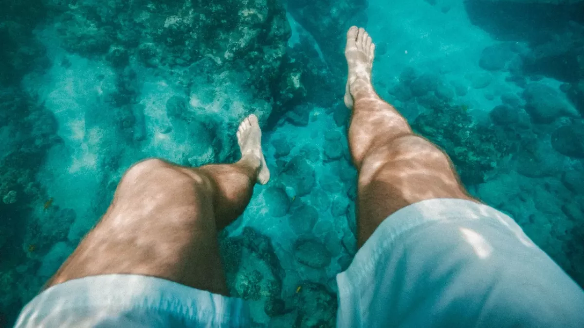 Here is everything you need to know about the 'summer penis' phenomenon