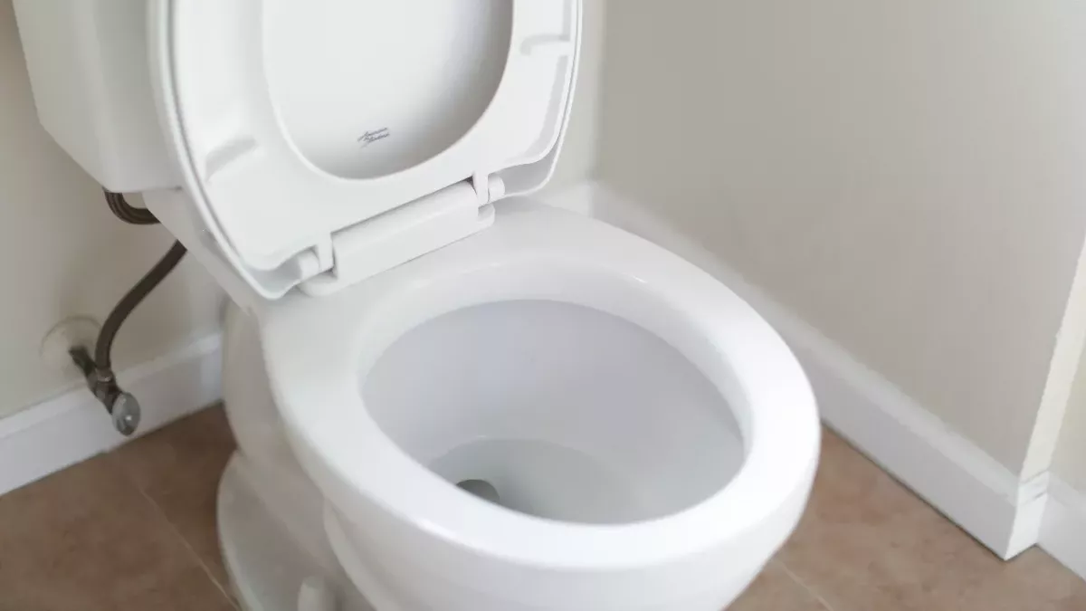 Toilet seat 