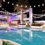 Love Island: Series 8 contestants who got back to their regular job