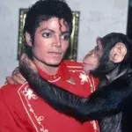 MJ