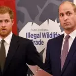 Harry and William